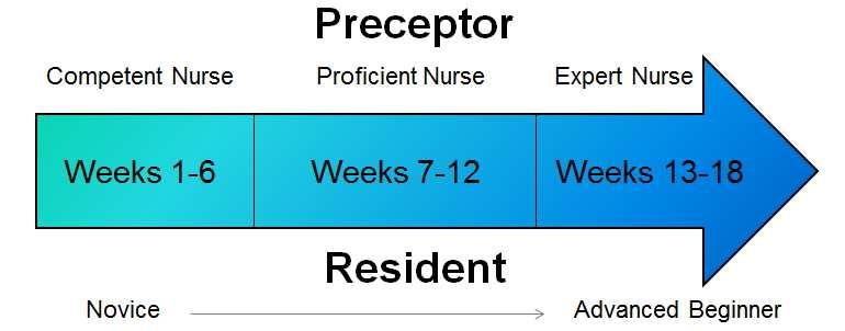 Traditional Preceptorship Models The Team Approach Model / : The Married State Preceptorship