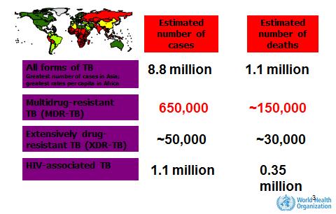 3. Update on latest developments in the Stop TB strategy 3.