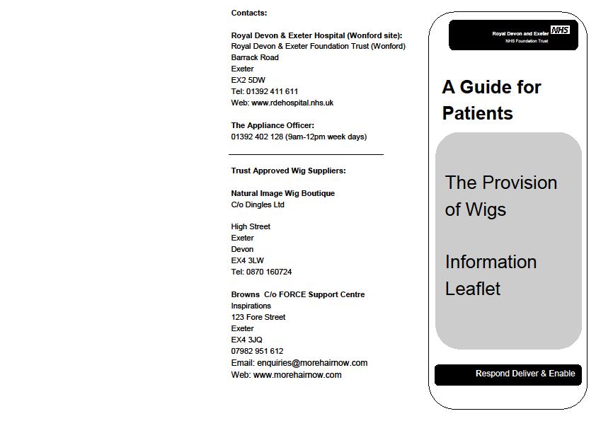 APPENDIX 2: THE PROVISION OF WIGS INFORMATION