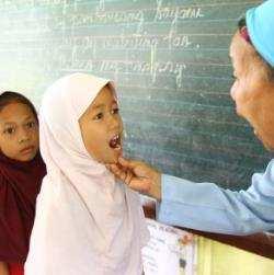 Fit for School ARMM Program Simple Scalable