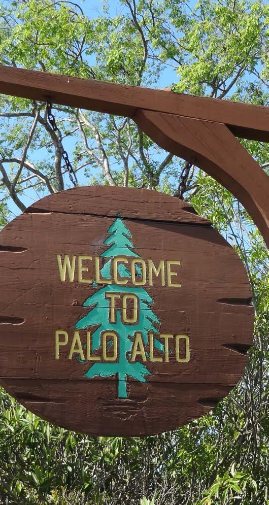 The dual nature of Palo Alto, with both very livable neighborhoods and thriving business districts, will be supported so that neighborhoods are protected and enhanced while business districts remain