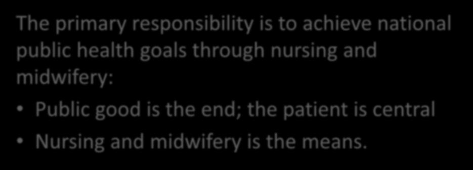 Responsibility of the Chief Nursing Office of the Chief Nurse: Vision Officer The primary