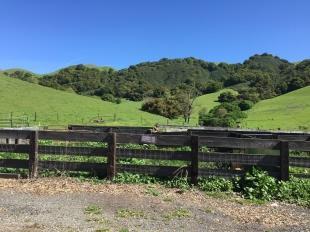 Uploaded: Thu, Jun 8, 2017, 5:19 pm Las Trampas to expand public acreage, trails Park district presents on new plans for wilderness preserve in San Ramon Valley by Erika Alvero A view from the Chen