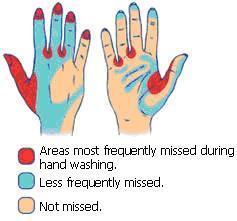 Proper,way,to, wash,your,hands Step Action 1 Hands are%under%faucet 2% Arms%angled%downward 3% Wet%hands 4% Use%soap 5% 20%seconds%of%friction 6% Scrub front%of%hands