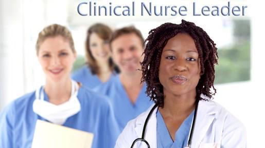Background of the CNL role American Association of Colleges of Nursing (2007) Introduced a new role: Clinical Nurse Leader (CNL) 10 assumptions Core Competencies CNL Roles A CNL is a master-prepared