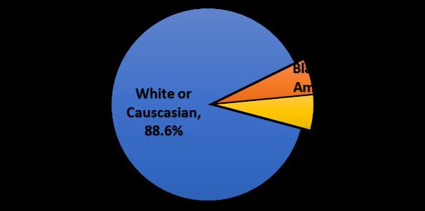 The racial composition of the region is mainly White or Caucasian (29% are