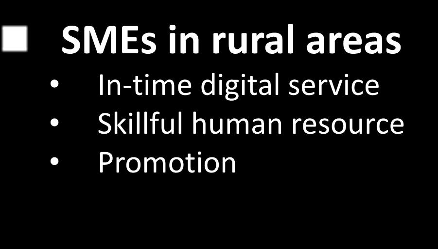 care SMEs in rural areas