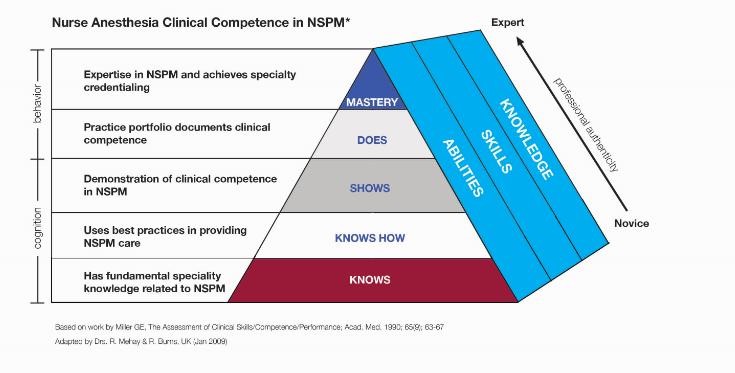 The foundations for the NSPM subspecialty credential are based on the Clinical Competence model initially developed by eminent
