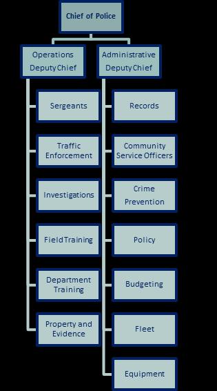 Page 3 Annual Report 2016 DEPARTMENT OVERVIEW The Chief of Police is responsible for overseeing the services provided to the Village of Frankfort as well as setting the goals and objectives based on