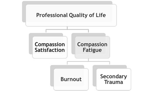 Compassion satisfaction Dr. Beth Hudnall Stamm, Ph.D., Idaho State University www.proqol.