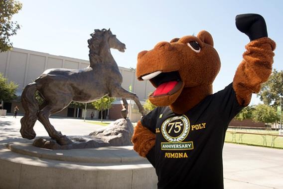 We hope you have enjoyed your guided walk through the diverse campus that is Cal Poly Pomona.