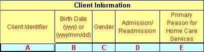 e-sdrt User Guide, Update April 2014 CLIENT INFORMATION WORKSHEET The Client Information worksheet has three (3) main sections: 1. Client Information (Columns A,B,C,D,E) 2.
