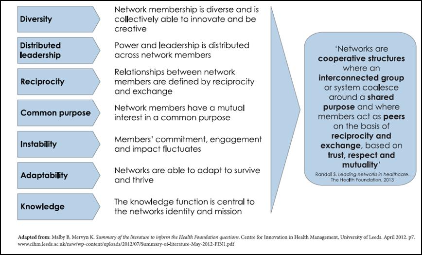 Figure 2: Distinctive features of networks for improvement Given the diversity in the Framework implementation environments within and between sectors, multiple networks will be needed at national,
