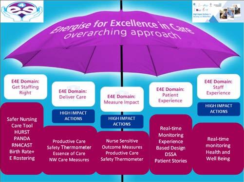 Energise for excellence aims to draw together many of the initiatives which have been designed to improve safety, quality and involvement in care under these 5 domains such as: High impact actions