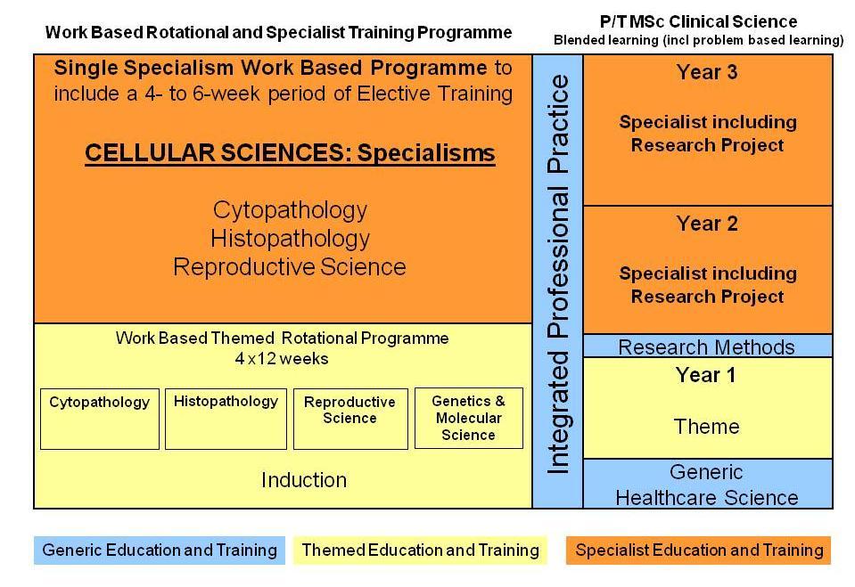 Section 9: MSc Clinical Science (Cellular Sciences) 9.1 Overview of STP in Genetic Science The diagram below provides an overview of the STP each trainee in Genetic Science will follow.