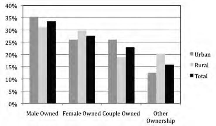 Gender and Ownership Males own 33% of businesses surveyed. Females own 27% of businesses surveyed. 23% are owned by married couples. Figure 3.