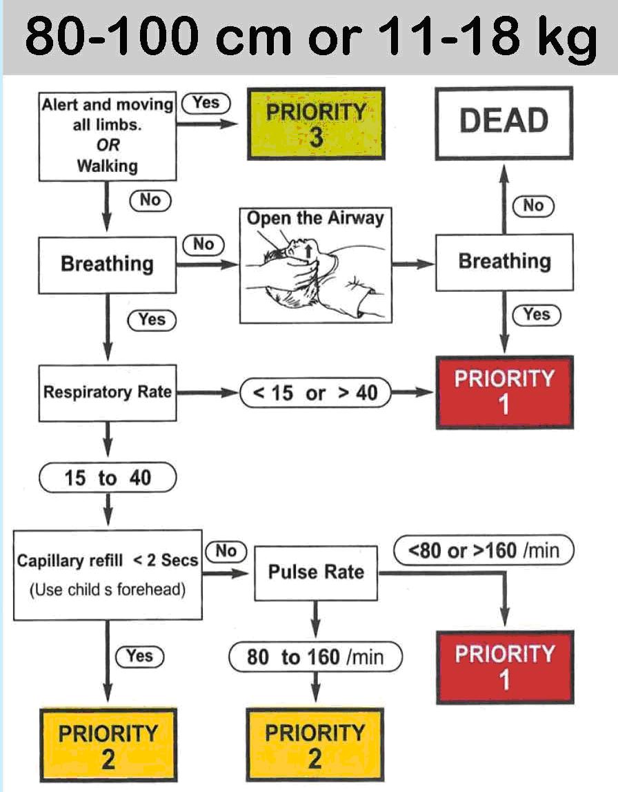 Mass Casualty Incident Figure 3 Pediatric SMART Triage