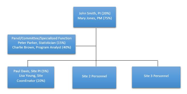Applicants must include an overall organizational chart (example below) indicating the roles and relationships of project personnel and including their titles/functions and percentages of effort.