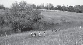 * Prairie and wetland restorations that PPRI has helped create - but does not own - are included here with PPRI preserves because many may be available for outreach and educational purposes.