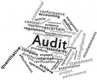 Getting Your Audit Organized Define your audit s purpose and scope By-laws Policies