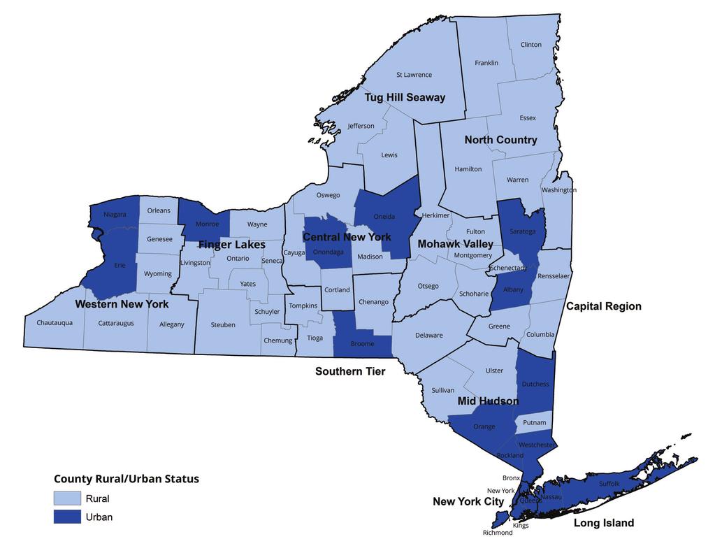 For regional analysis, the DOH Population Health Improvement Program (PHIP) regions are used.