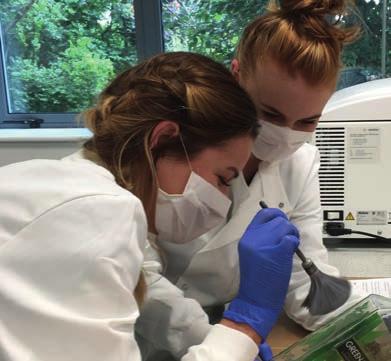 Accelerating skills development New STEM Labs Students at the University of Cumbria are now benefiting from extended laboratory facilities to support science, technology, engineering and maths