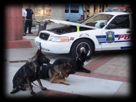 K9 Unit The Lima Police Department K9 Unit was comprised of three (3) teams for the 2012 calendar year.