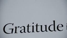 Culture of Gratitude Fosters participation,
