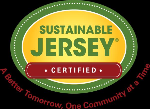 Sustainable Jersey Small