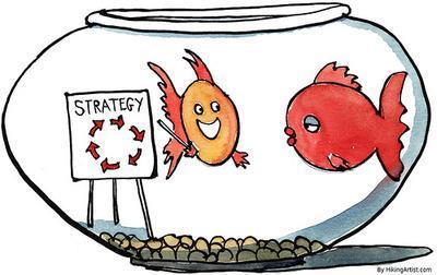 Strategy When is it used in the grants writing process?
