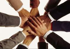 coordination) Teamwork Leadership Customer focus Data analysis and action plans Inclusive