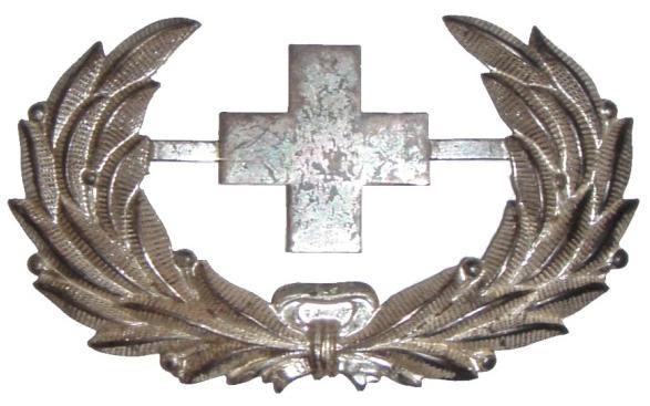 Hospital stewards wore a silver wreath with US in the center, then with a Geneva cross, but these early insignia were two separate pieces of metal.