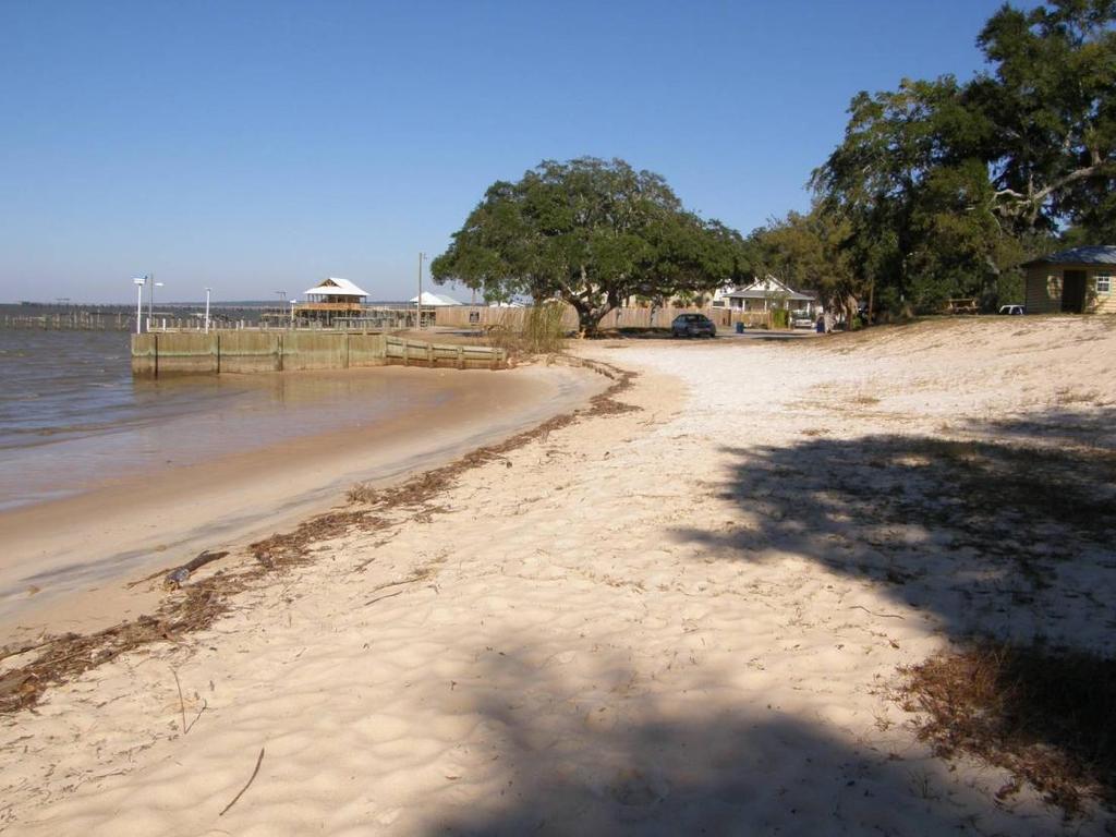 Pocket feeder beach and artificial headland concepts in Fairhope, AL Saved this live oak tree and bluff south of