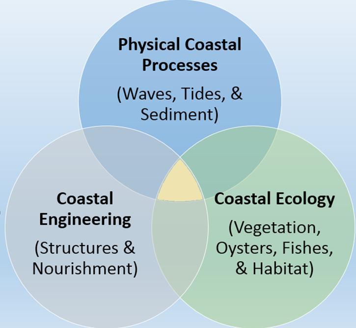 Elements of a Successful Living Successful Living Shoreline Projects are a Combination of Elements Shoreline Design Knowledge of the local physical coastal processes and conditions of the site