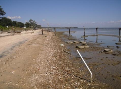 sandy shoreline on Mobile Bay Mobile