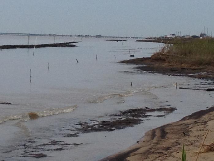 This so-called living shoreline project is actually