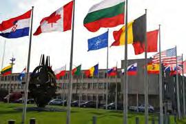 NATO reform The NATO Command Structure review is part of an ongoing NATO reform process which is focusing on the internal organization of NATO Headquarters (NATO Committee review) and NATO Agencies