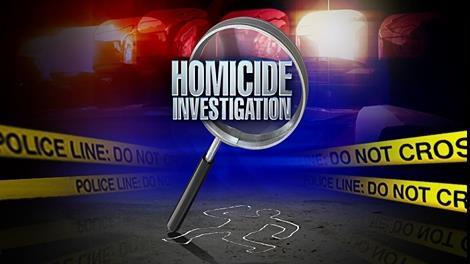 CONCEPTUAL FOUNDATION OF THE HOMICIDE PROCESS MAPPING PROJECT Findings from two BJA homicide technical assistance projects at law enforcement agencies showed that each agency had high homicide rates