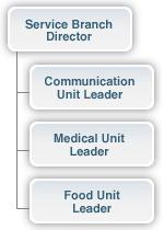 Logistics Section: Branches and Units The Logistics Section can be further staffed by two Branches and six Units. The titles of the Units are descriptive of their responsibilities.