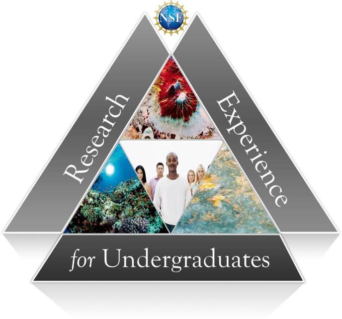 REU Site: Research Experience for Undergraduates in Collaborative Data Visualization Genetics and Biochemistry Geophysics Sociology Molecular Modeling and Simulation Inorganic Chemistry Computer