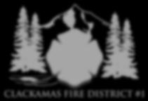 Field Response (Fire Service) Clackamas