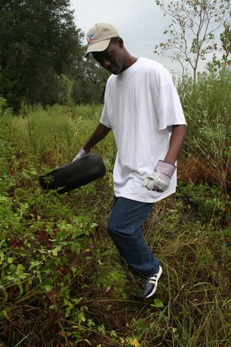 Prairie View A&M student helps clean-up during the 2006 Panthers At Work (PAW) Community Clean-Up.