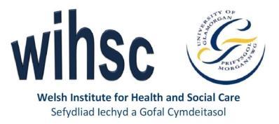 Welsh Institute for Health & Social Care University of Glamorgan Lower Glyntaf Campus Treforest