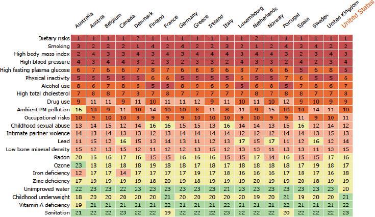 Food As SDOH Heat map of top risk