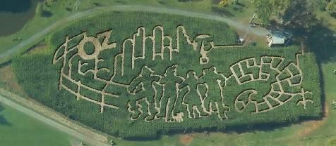 entertainment. In addition to all of our wonderful events planned for the fall season, this year's corn maze celebrates "75 Years of Oz." The maze is our most interactive and exciting maze ever.