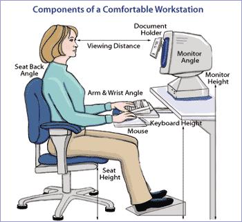 Ergonomics. comes from the Latin ergos (to work) and nomos (knowledge).