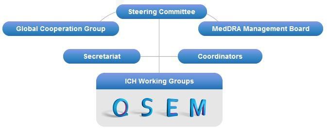 ICH Working Groups Monitors and facilitates the