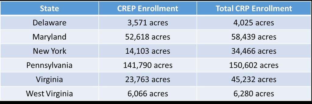 CREP and Non-CREP Enrollment in Chesapeake