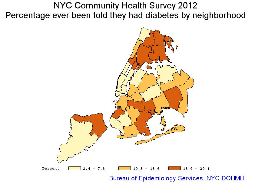 Obesity is not only an epidemic for adults in the Bronx but also among school age children.