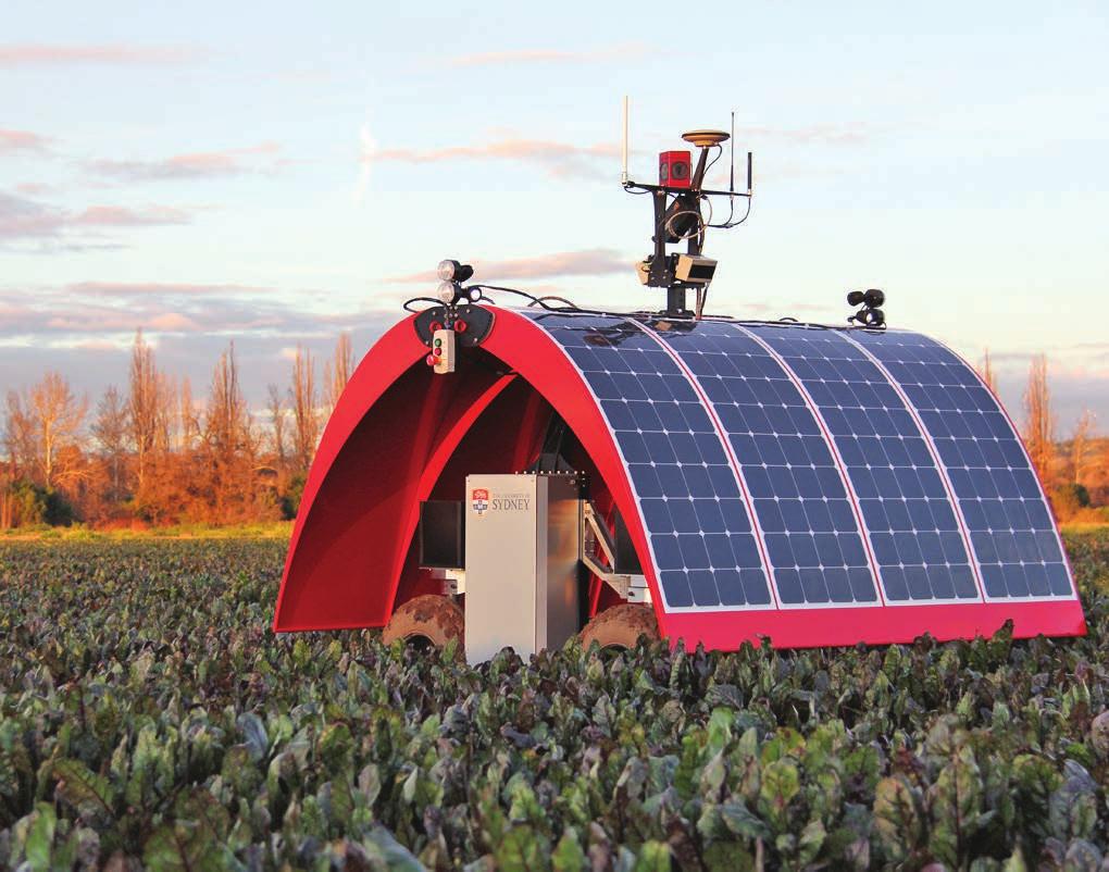 Image: Ladybird agricultural robot. ACFR (Australian Centre for Field Robotics).